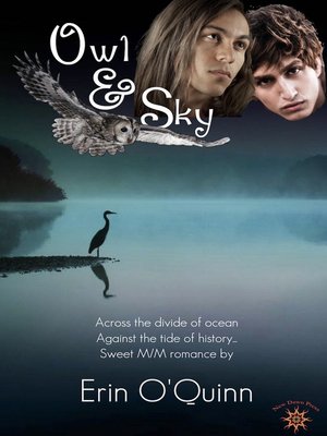 cover image of Owl and Sky
